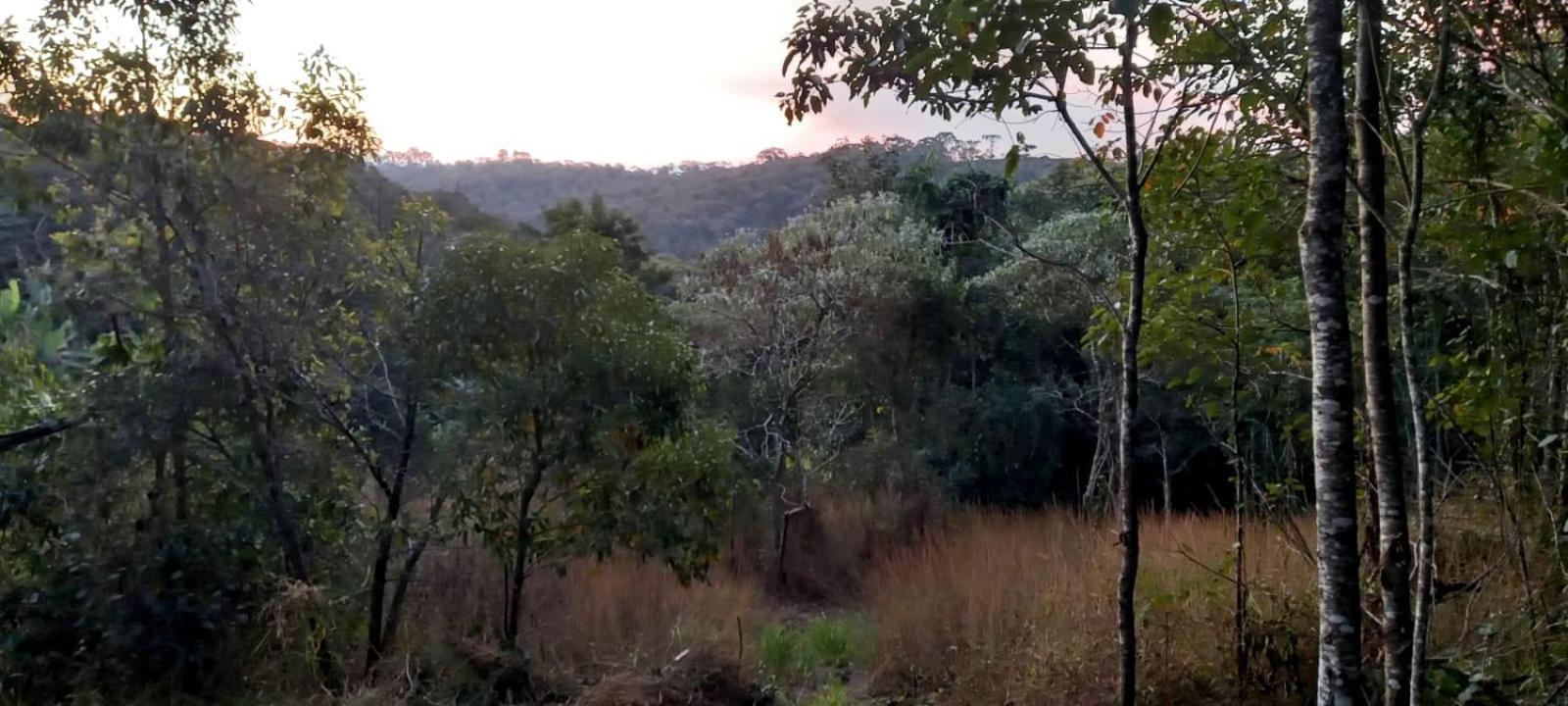 Vila Casa Cafe - Aconchego Na Floresta - Rota Do Vinho São Roque Exteriér fotografie